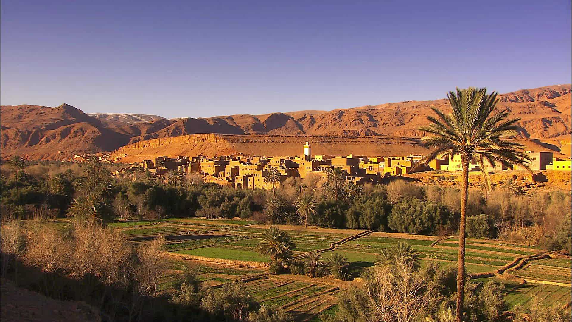 Canyon Todra - Maroc