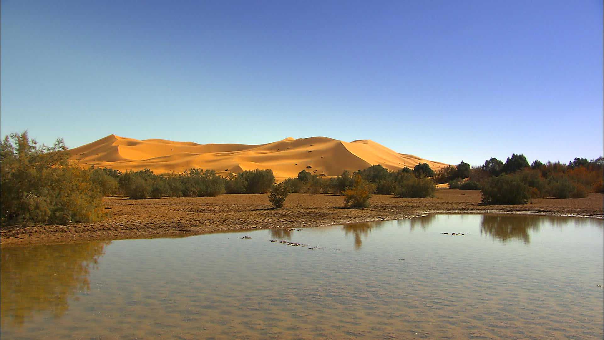 Merzouga  - Morocco