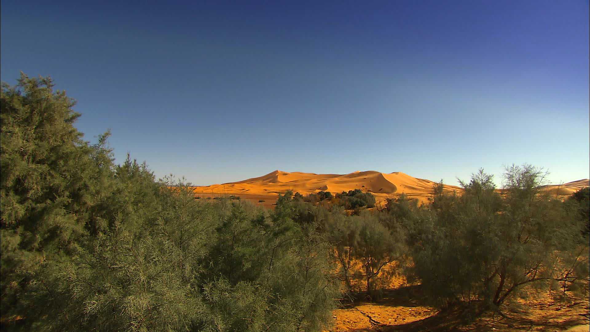 Merzouga - Maroc