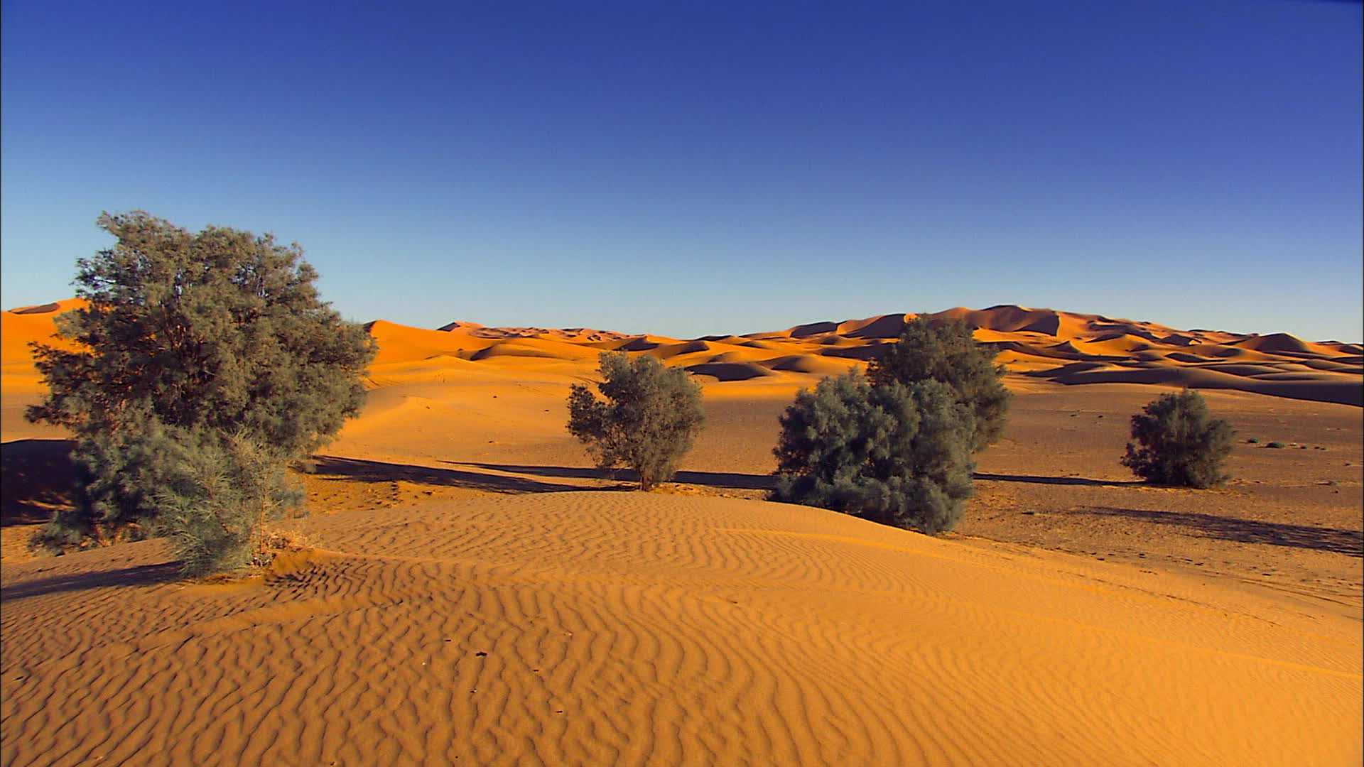 Merzouga - Maroc