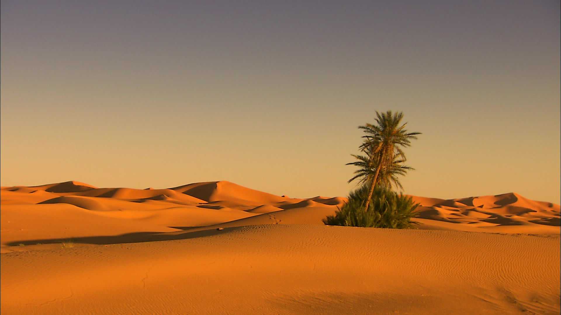 Khemliya - Morocco