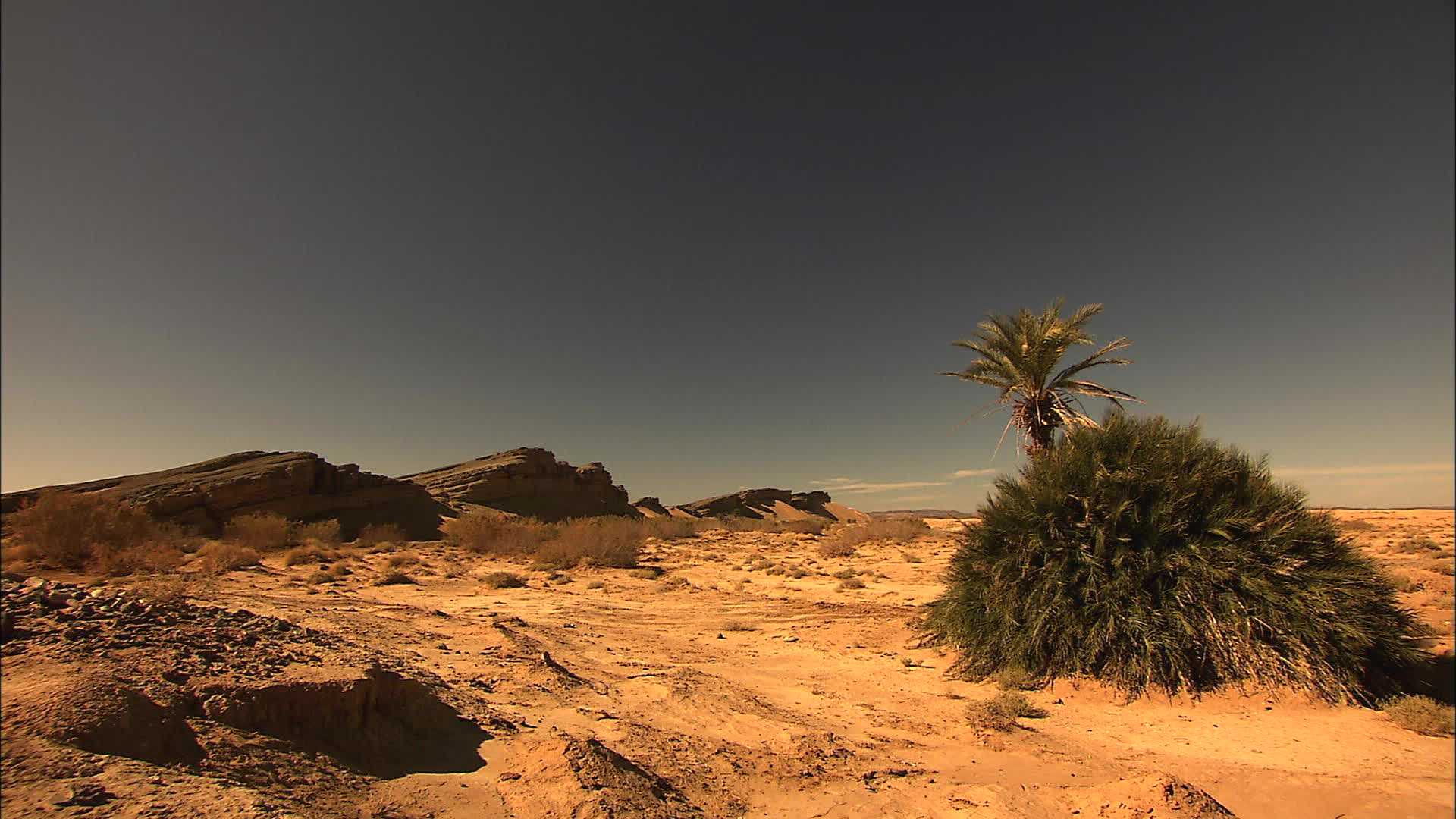 Taguerroumt - Maroc