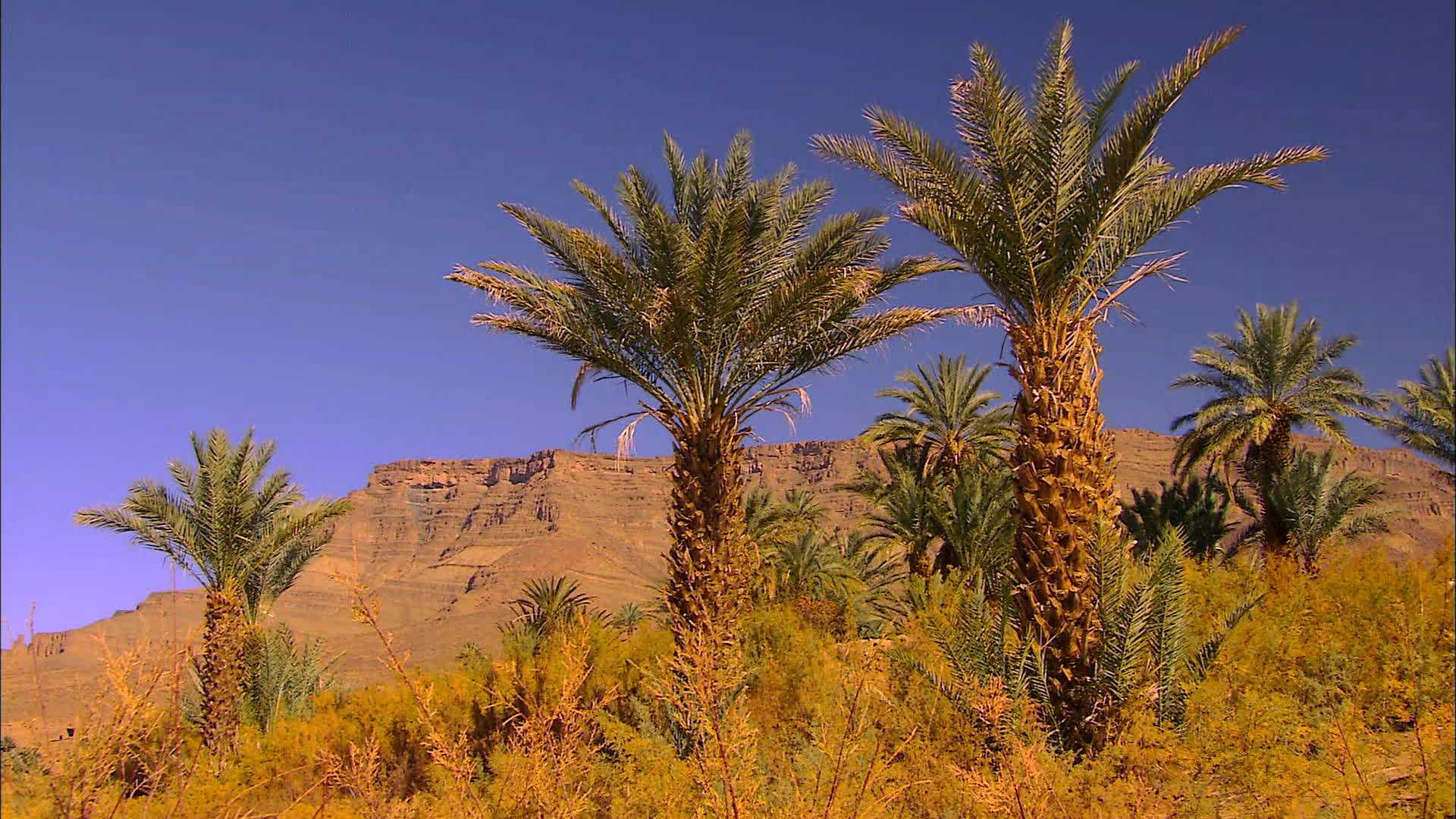 Zagora - Morocco