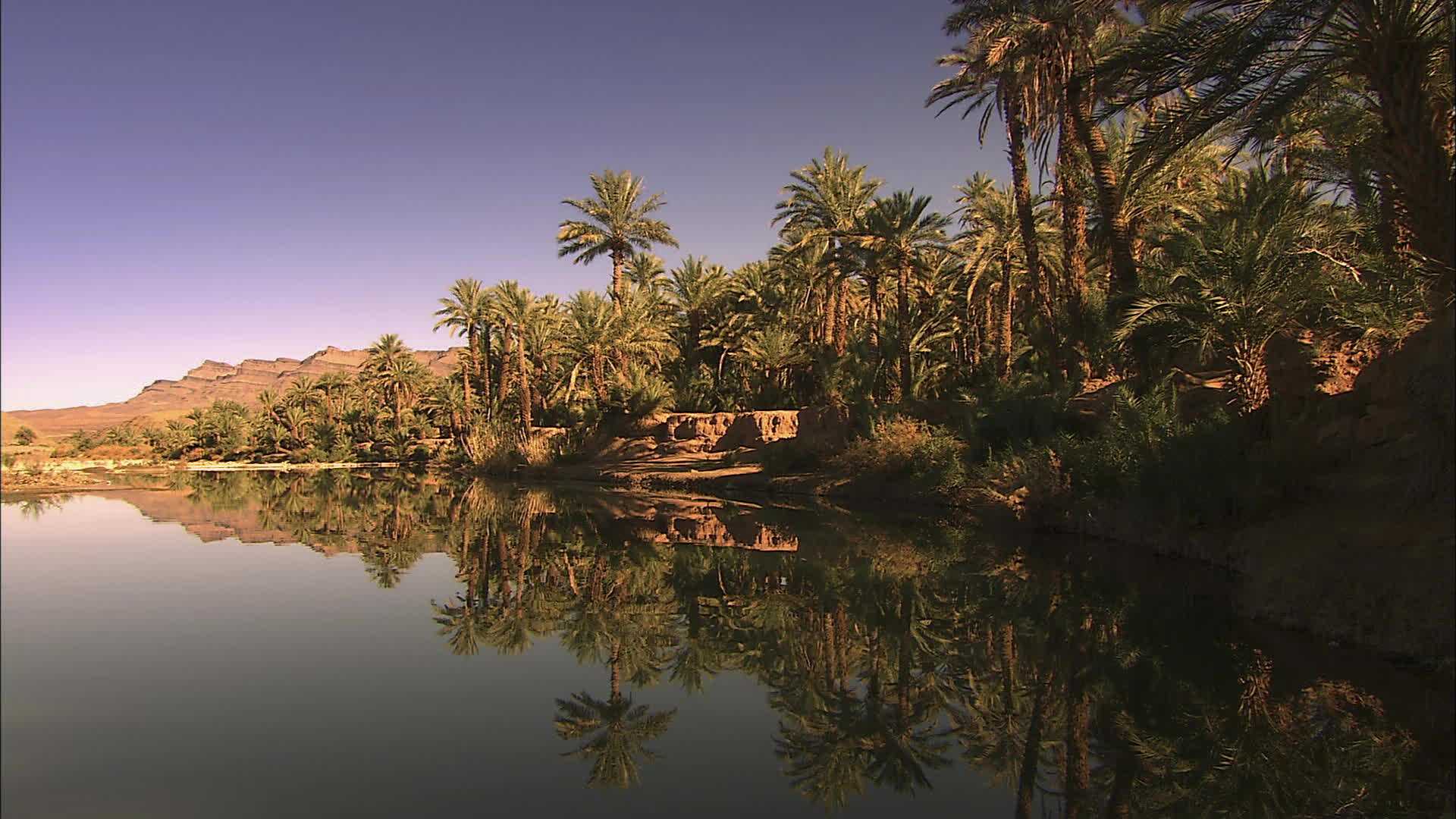 Tansikht - Maroc