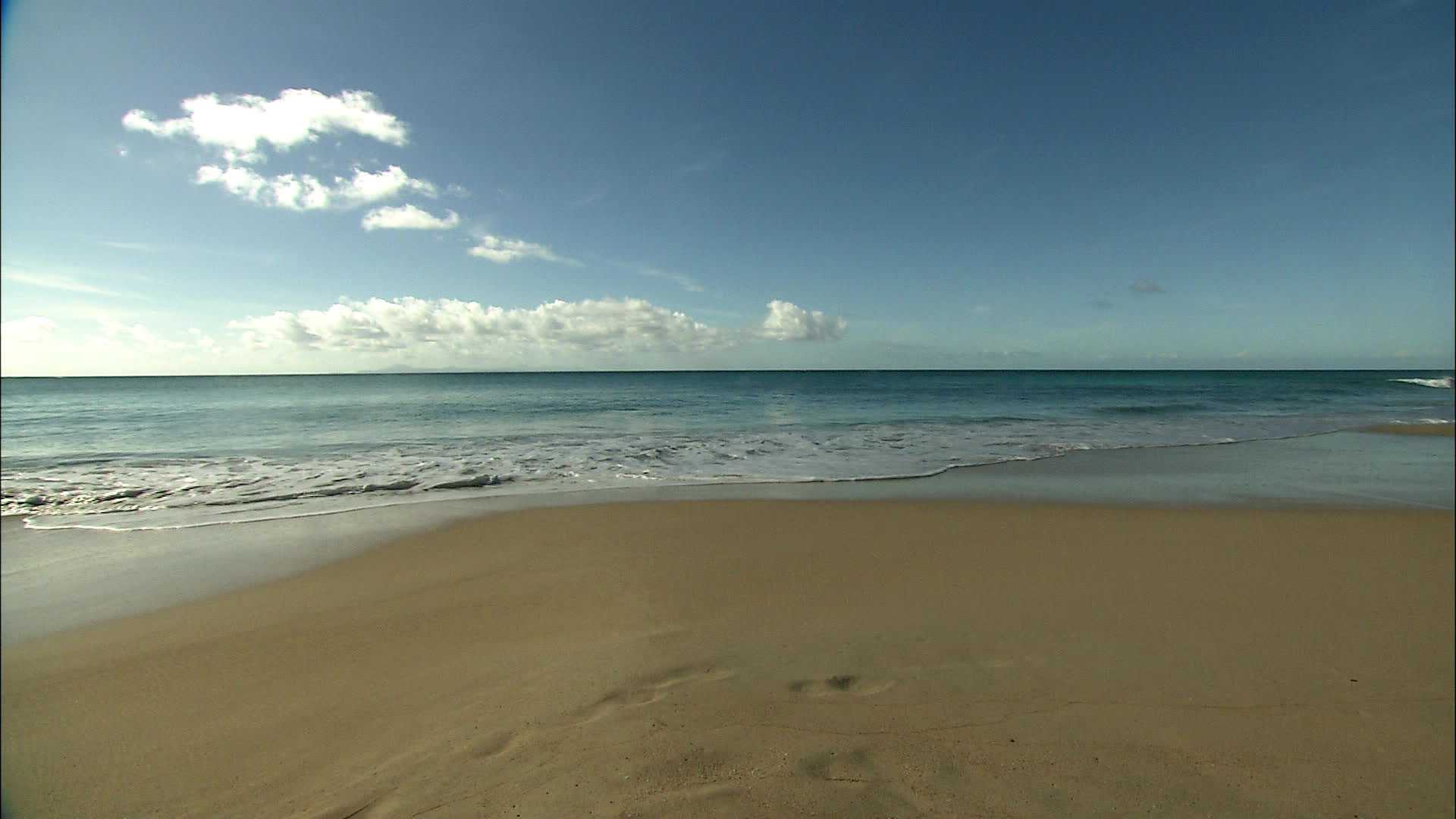 Salines Beach - Martinique