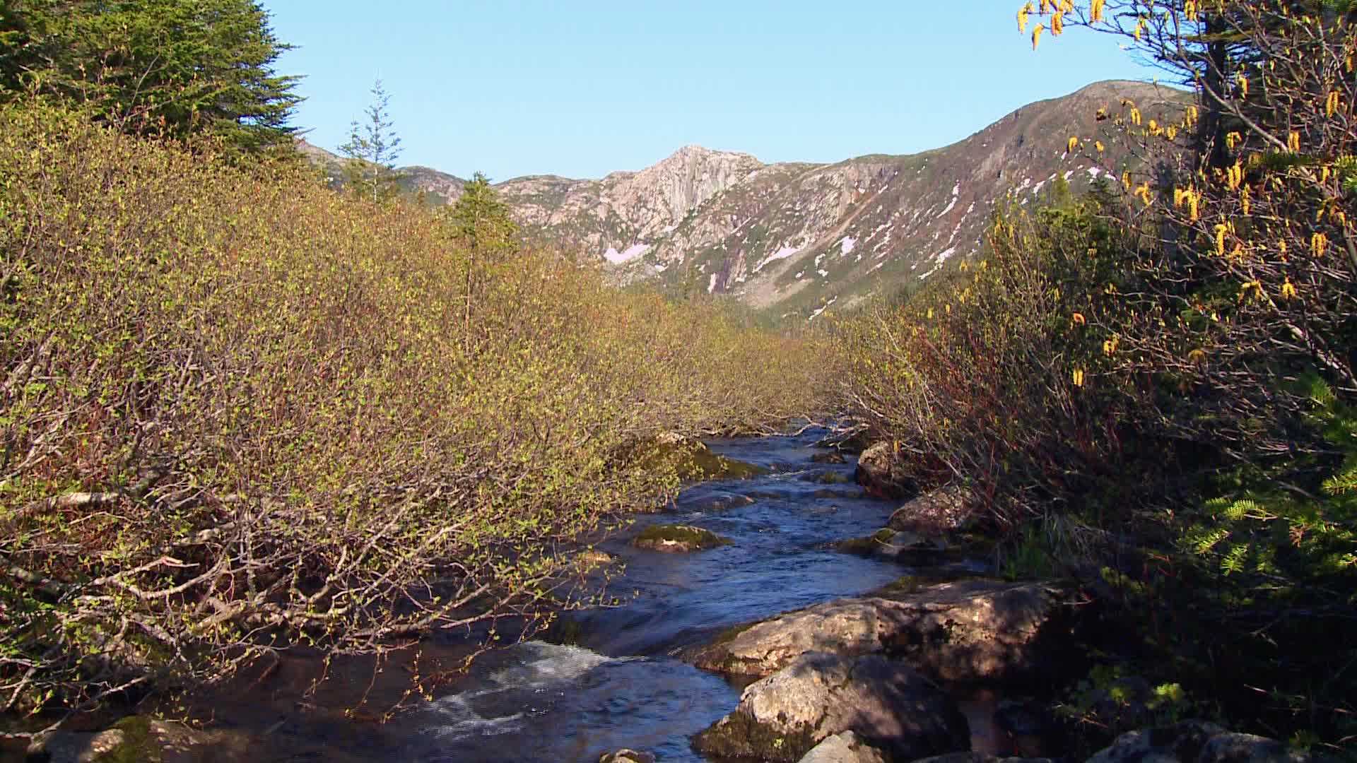 Parc National Gaspesie  - Canada