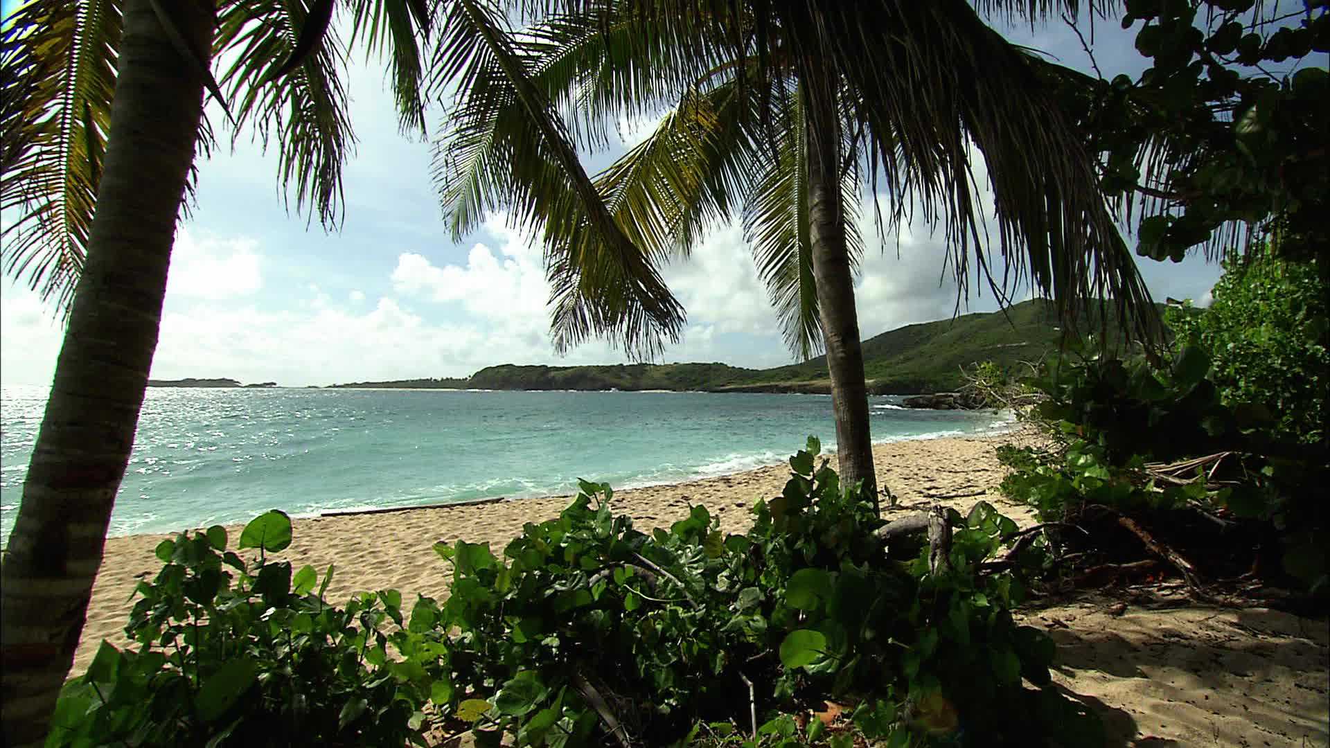 Grande Anse - Martinique