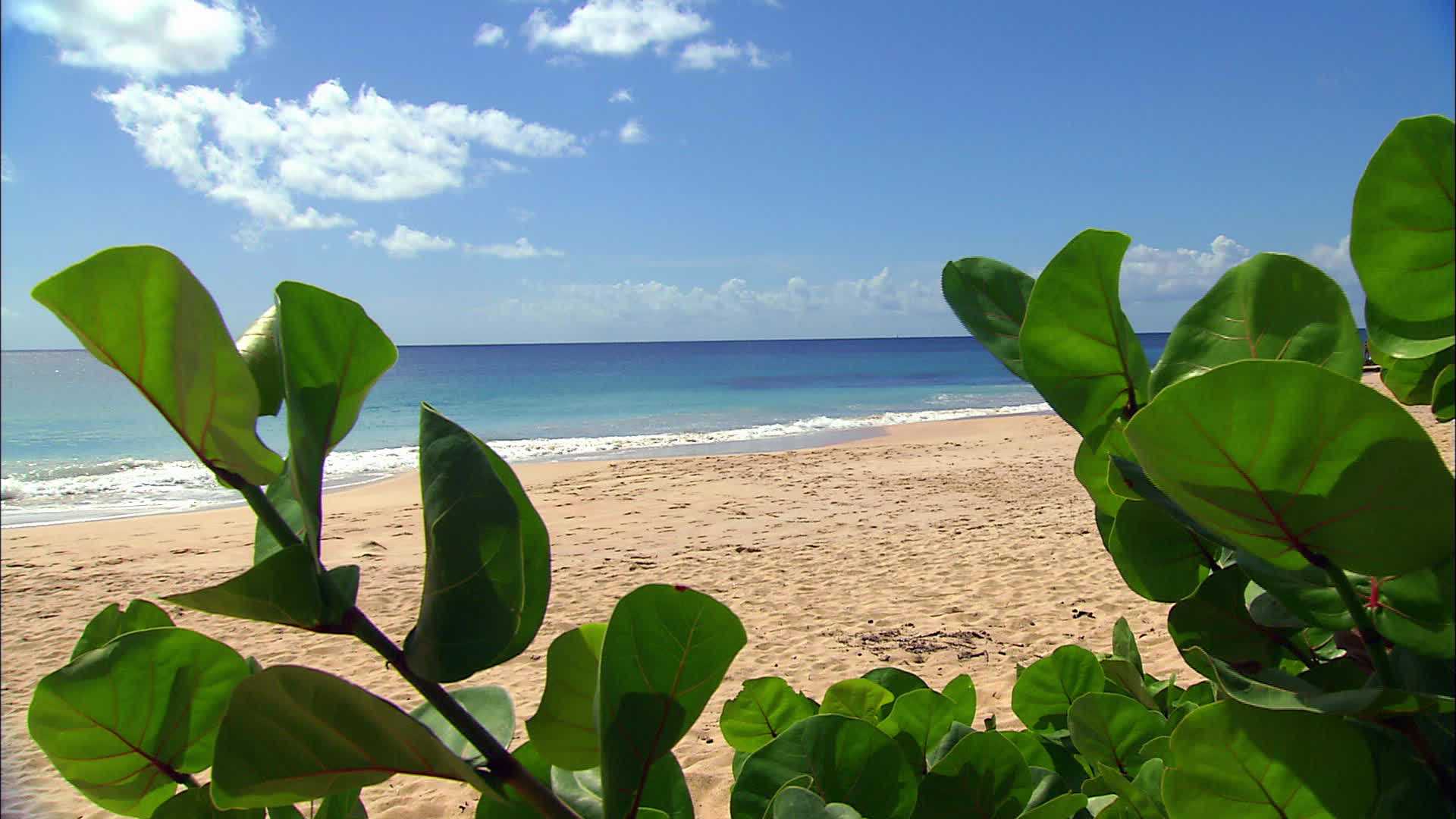 Beach of Grande terre - Martinique