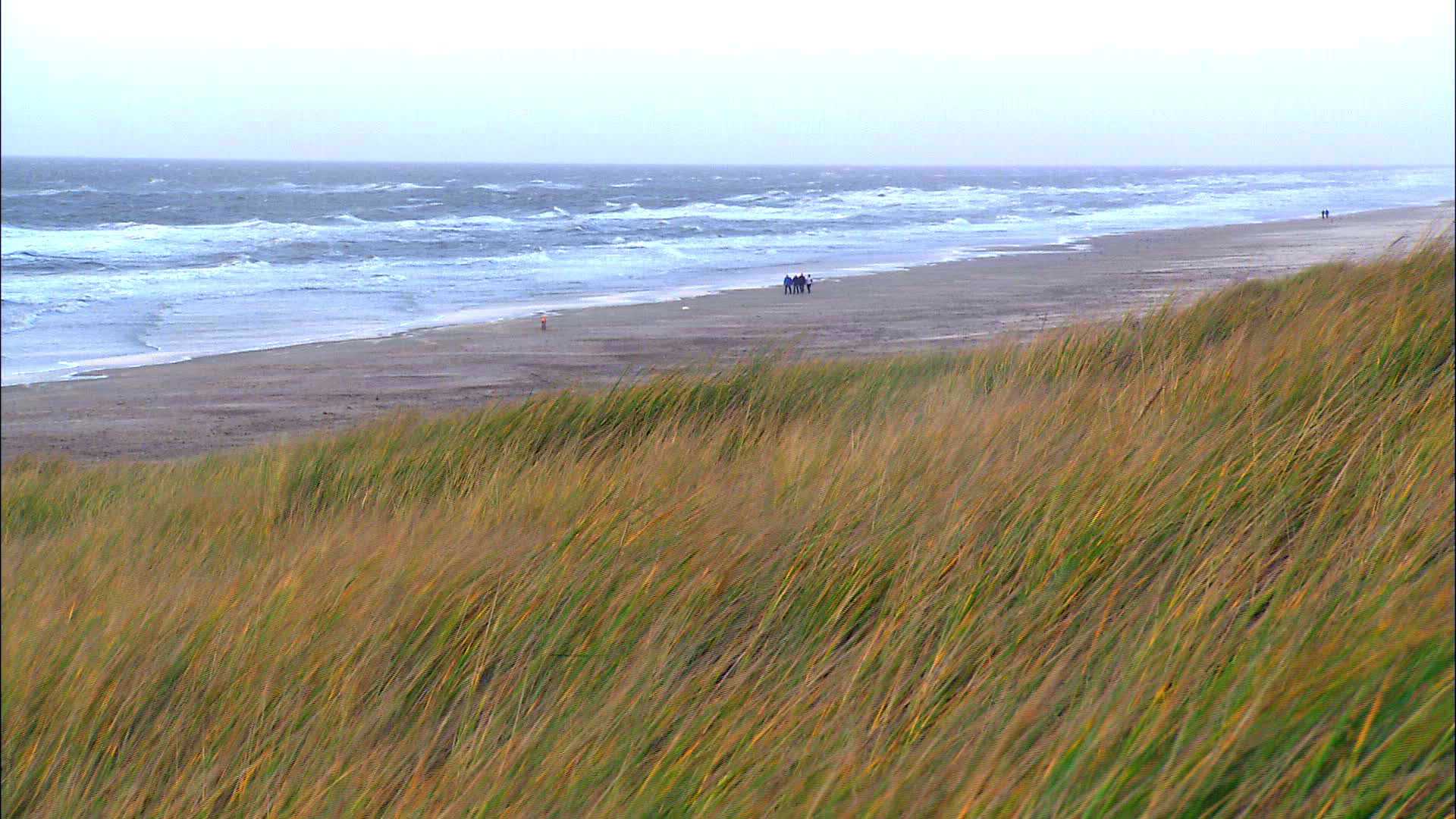 Egmond Aan Zee - Netherlands