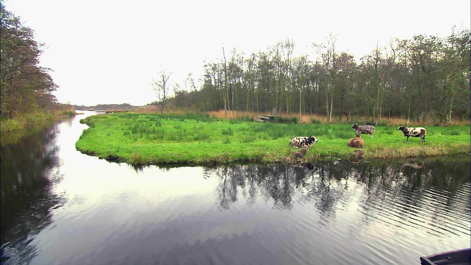 Loosdrecht - Netherlands