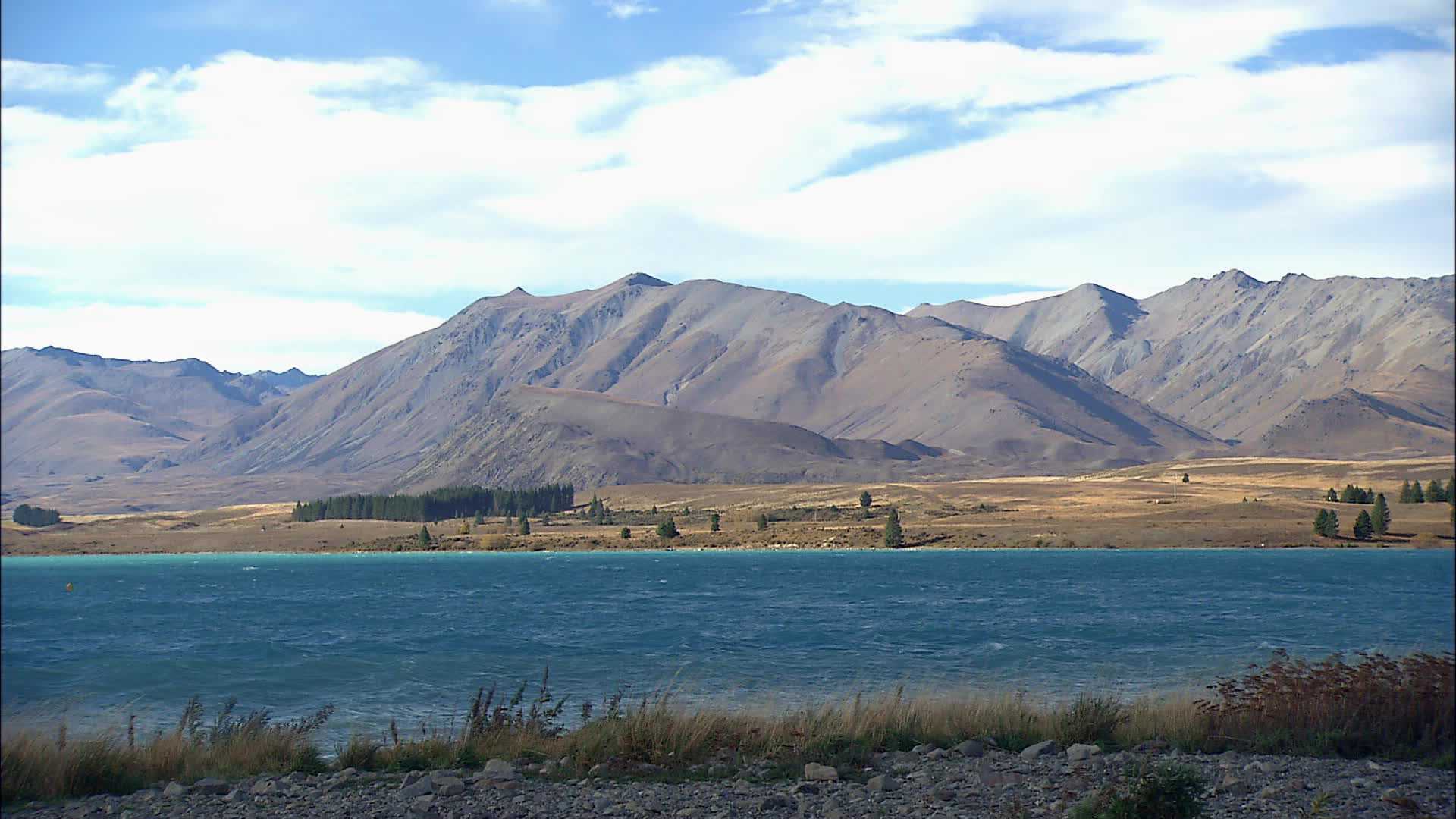 Lac Tekapo - Nouvelle Zélande