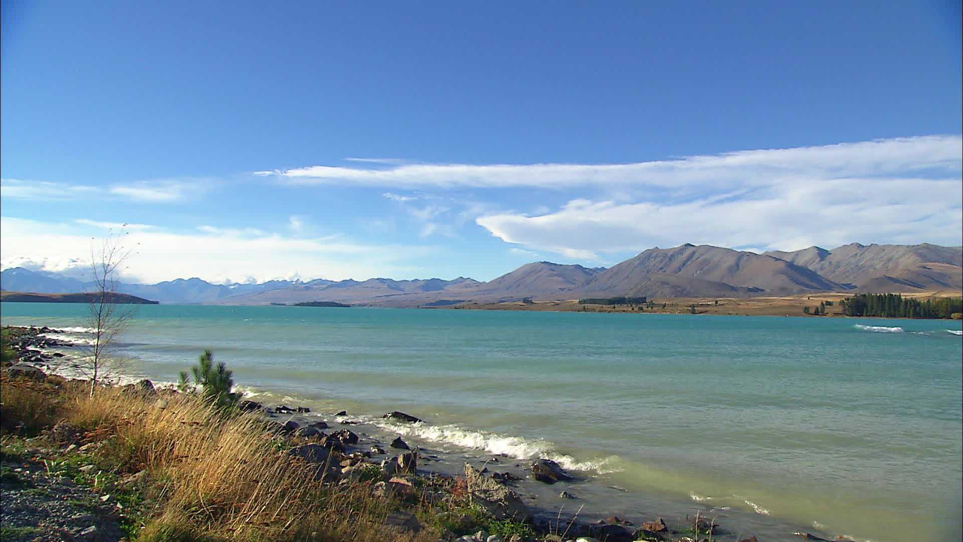 Lac Tekapo - Nouvelle Zélande