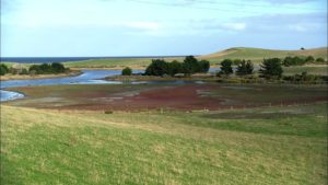 Côte Waianakarua - Nouvelle Zélande