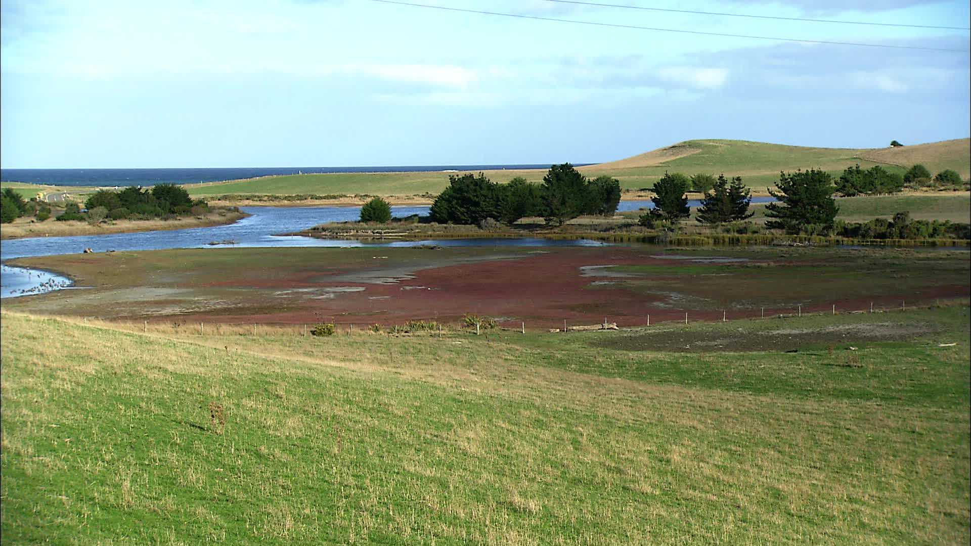 Waianakarua Coast - New Zealand