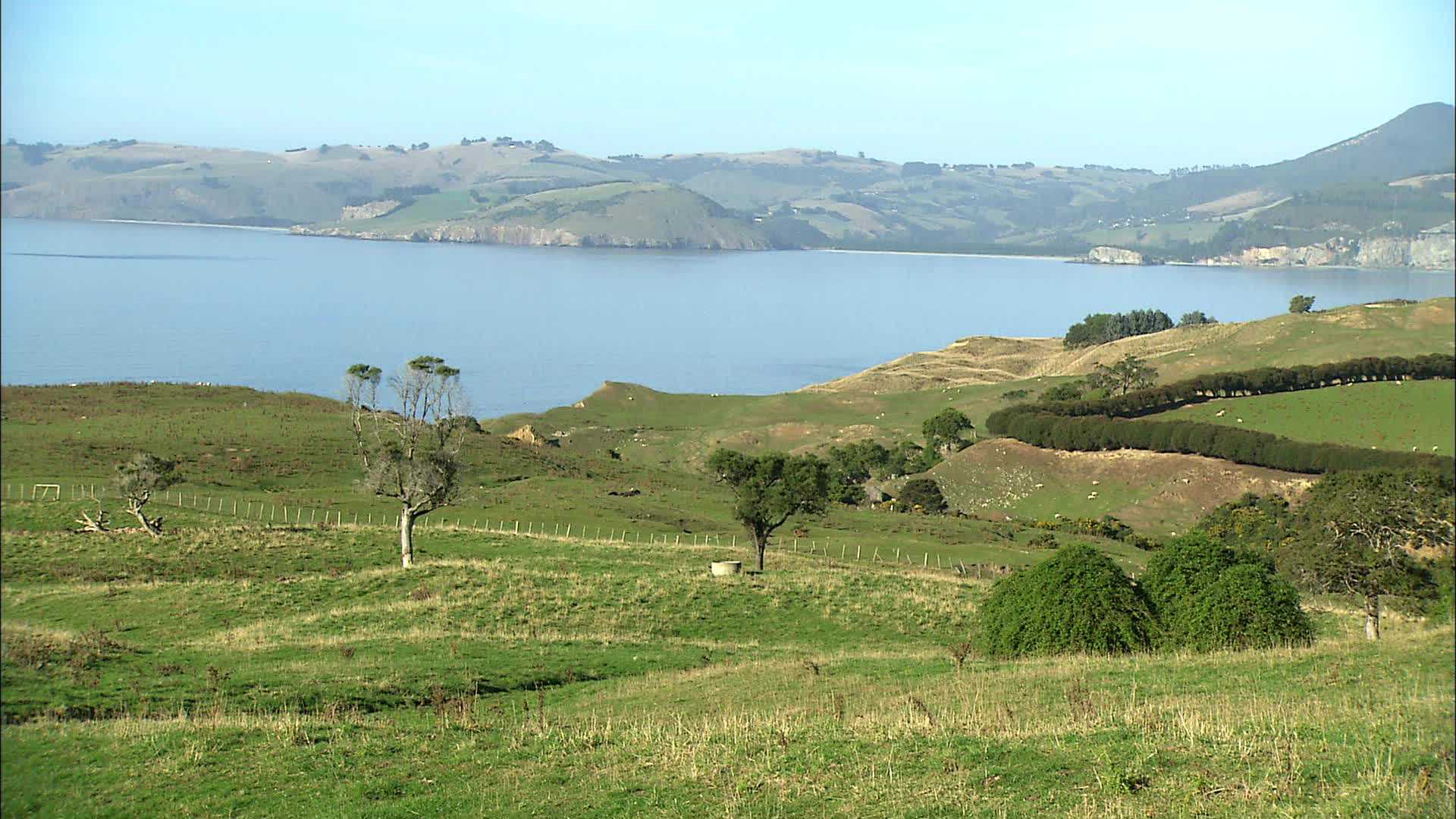 Seacliff Bay - New Zealand