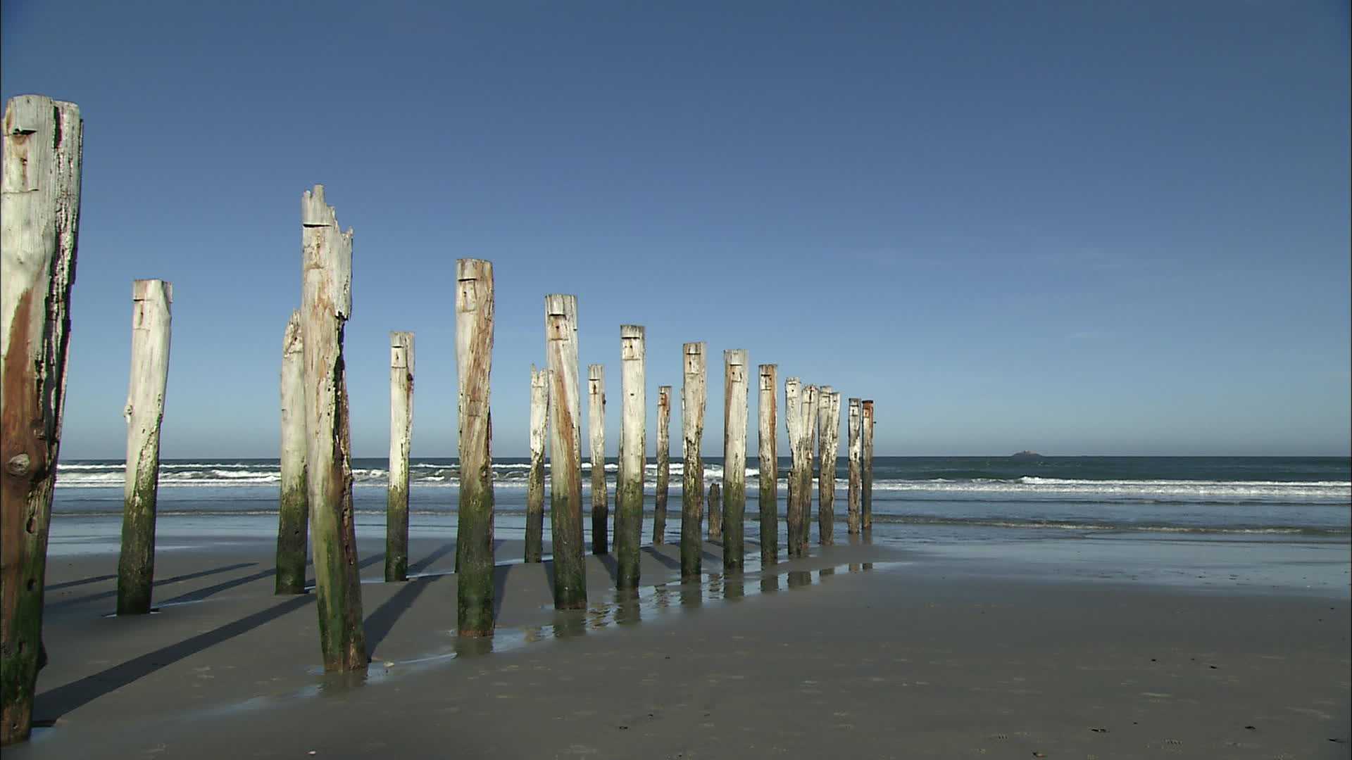 Plage St Clair - Nouvelle Zélande