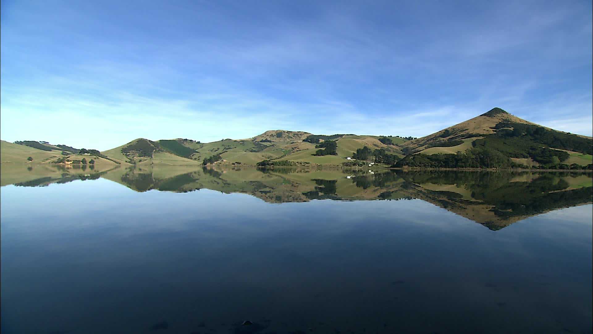 Otago Peninsula - New Caledonia
