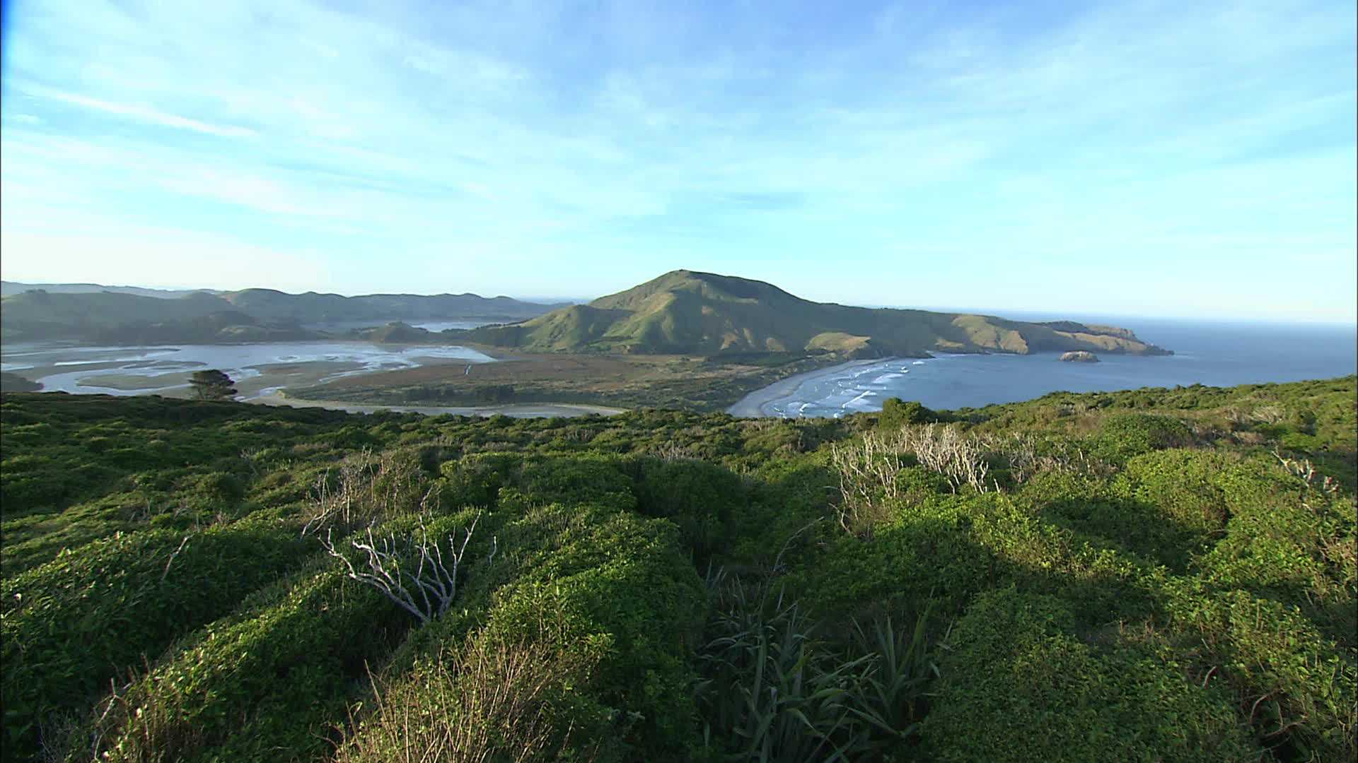 Otago peninsula -  New Zealand