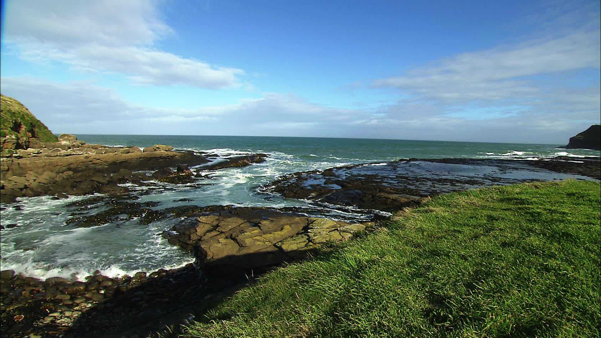 Curio Bay -  New Zealand