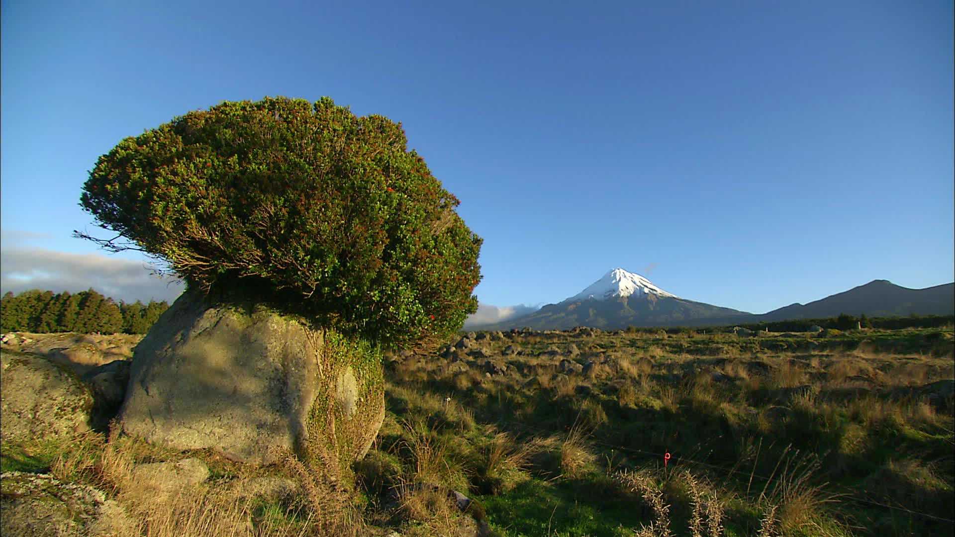 Egmont Park - New Zealand