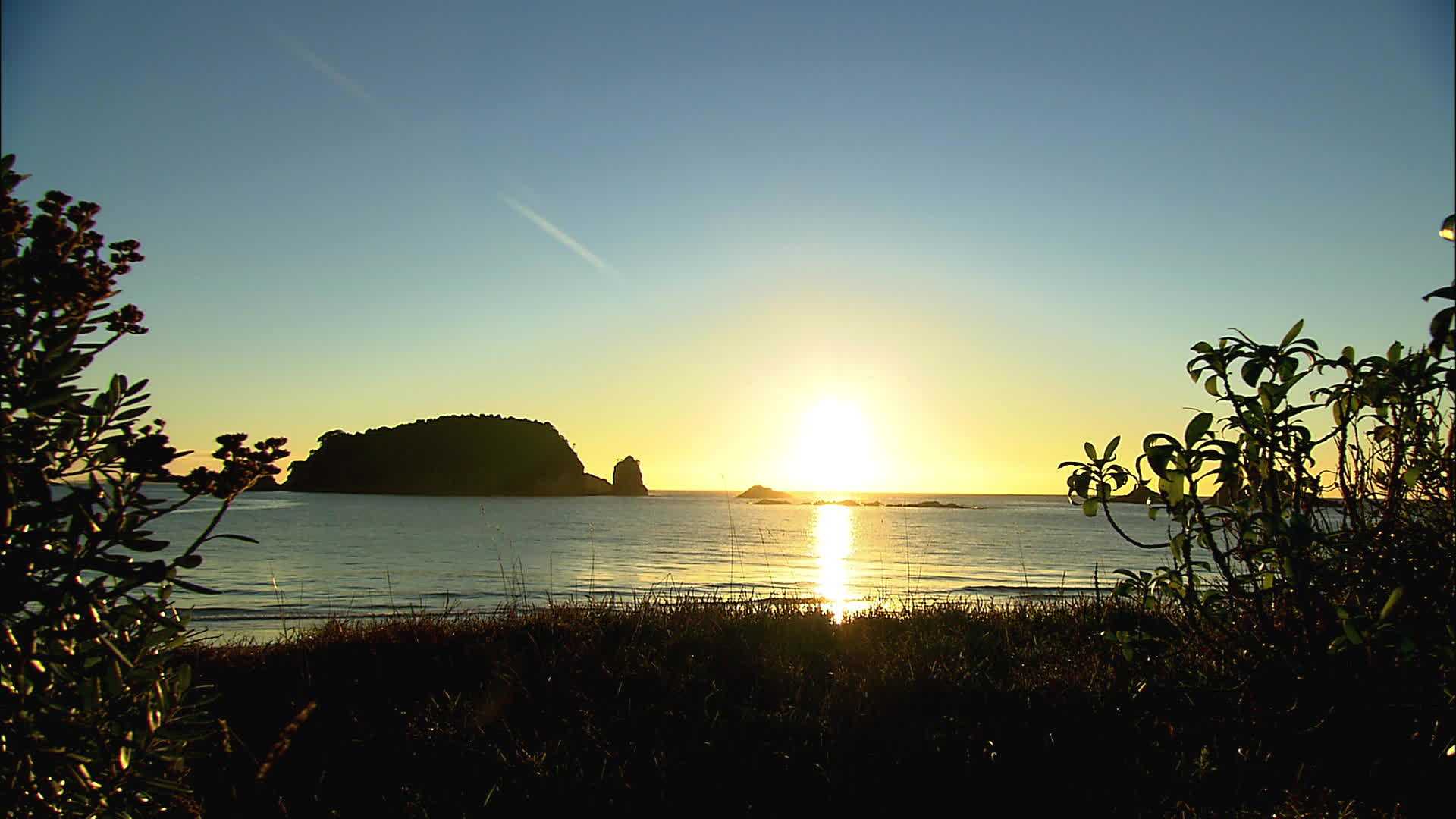 Plage Hahei - Nouvelle Zélande