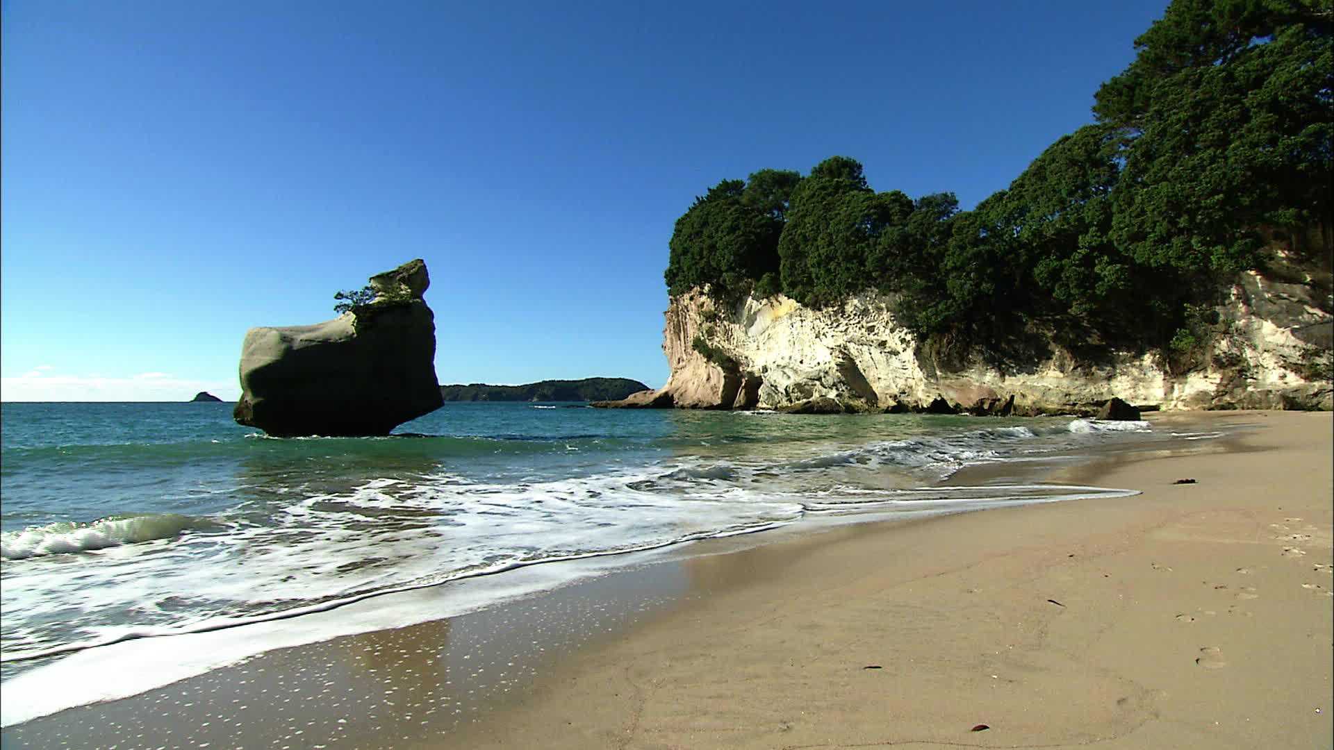 Plage Hahei - Nouvelle Zélande