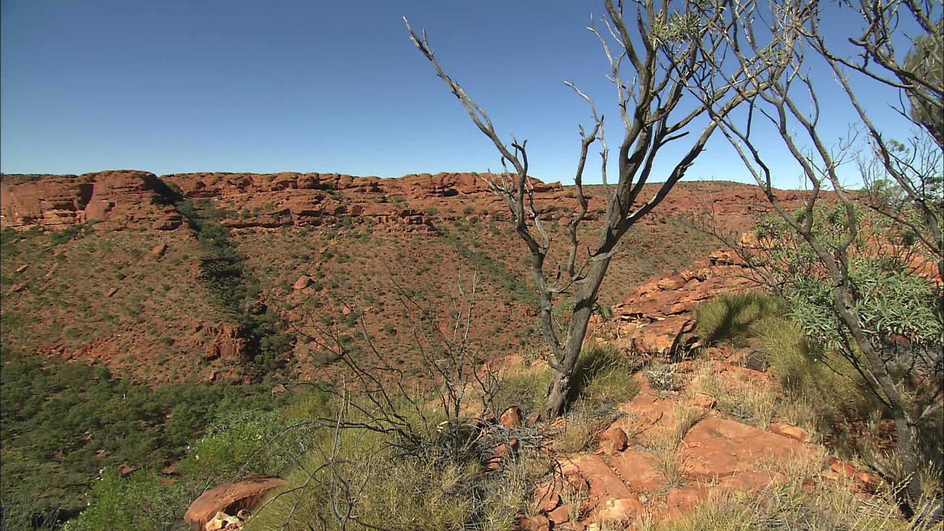 Parc National Watarrka - Australie