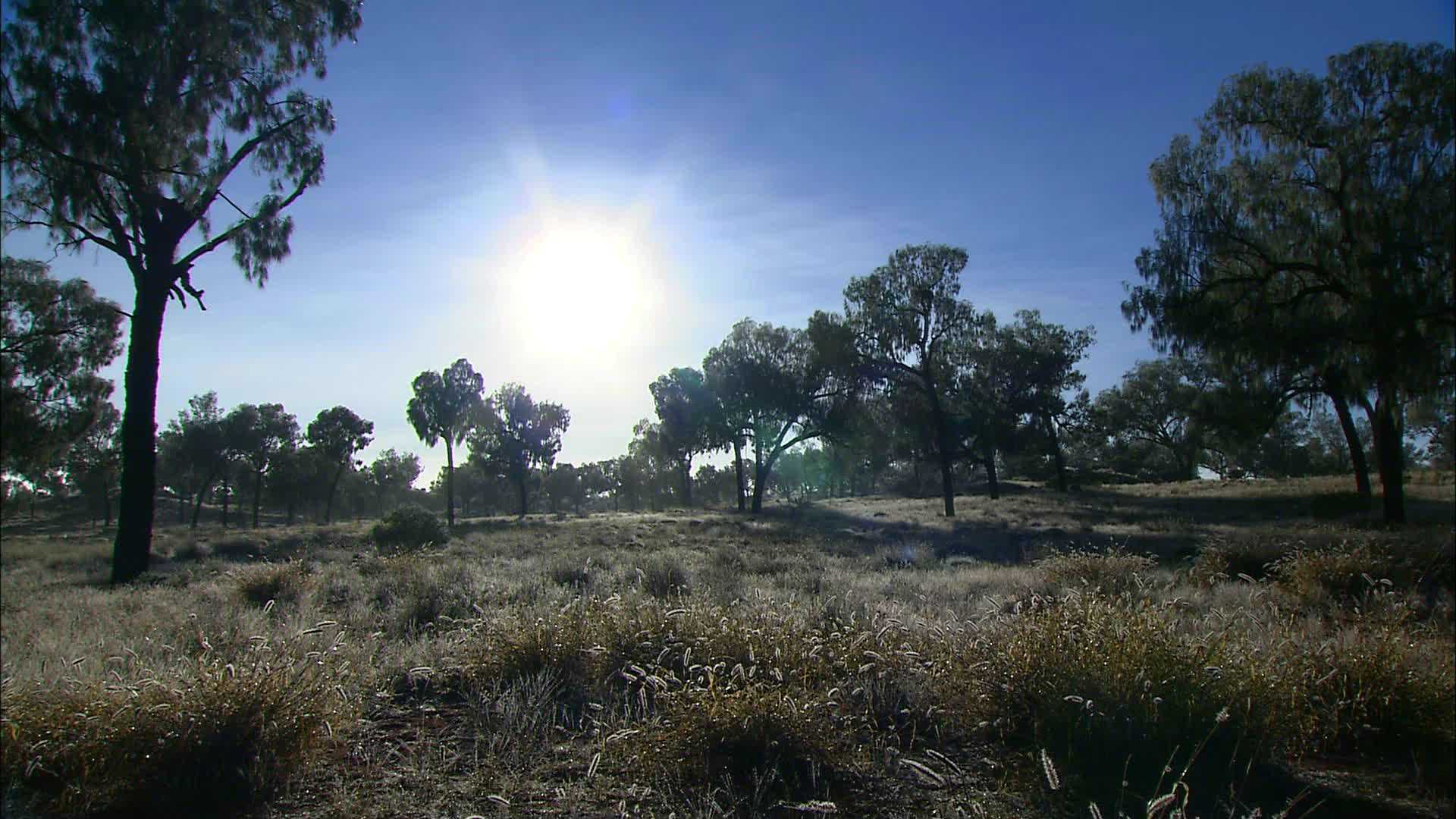 Watarrka National Park - Australia