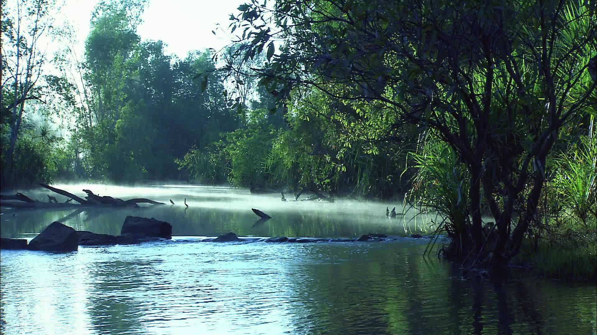 Douglas Hot Springs - Australia