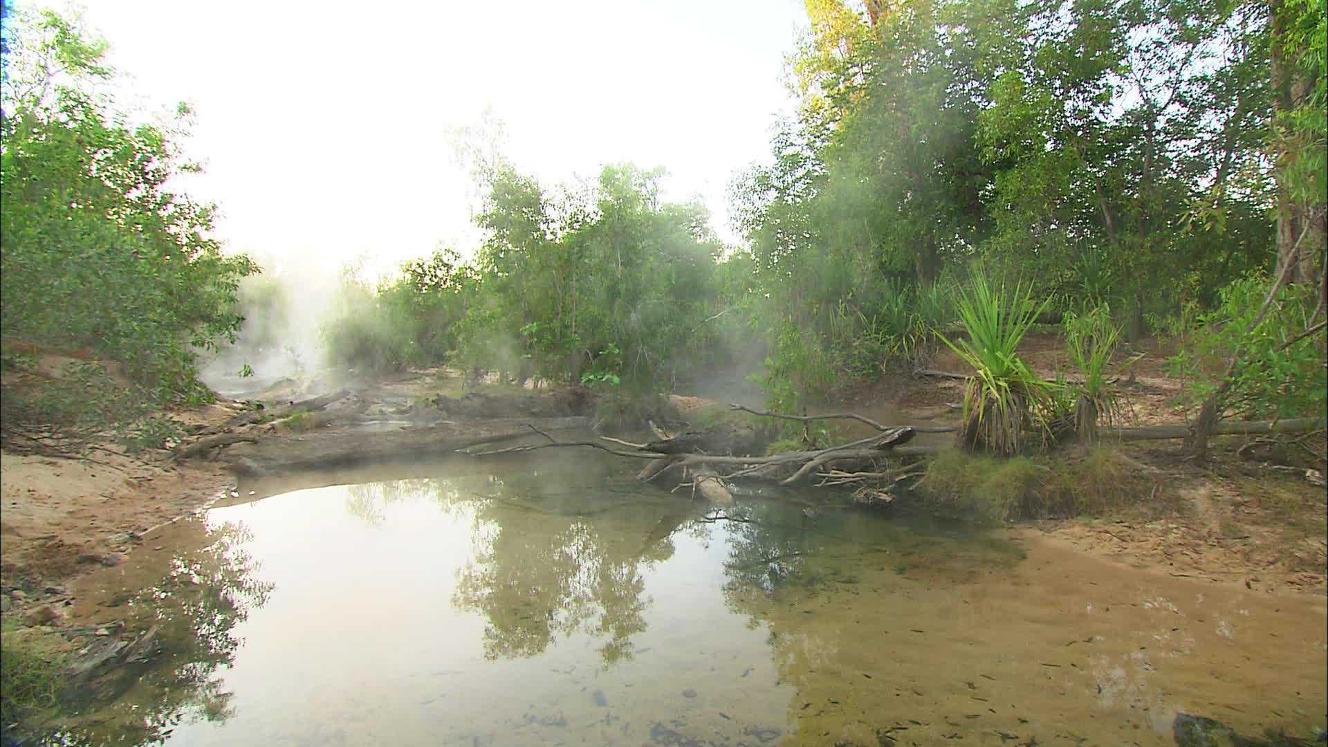 Douglas Hot Springs - Australie