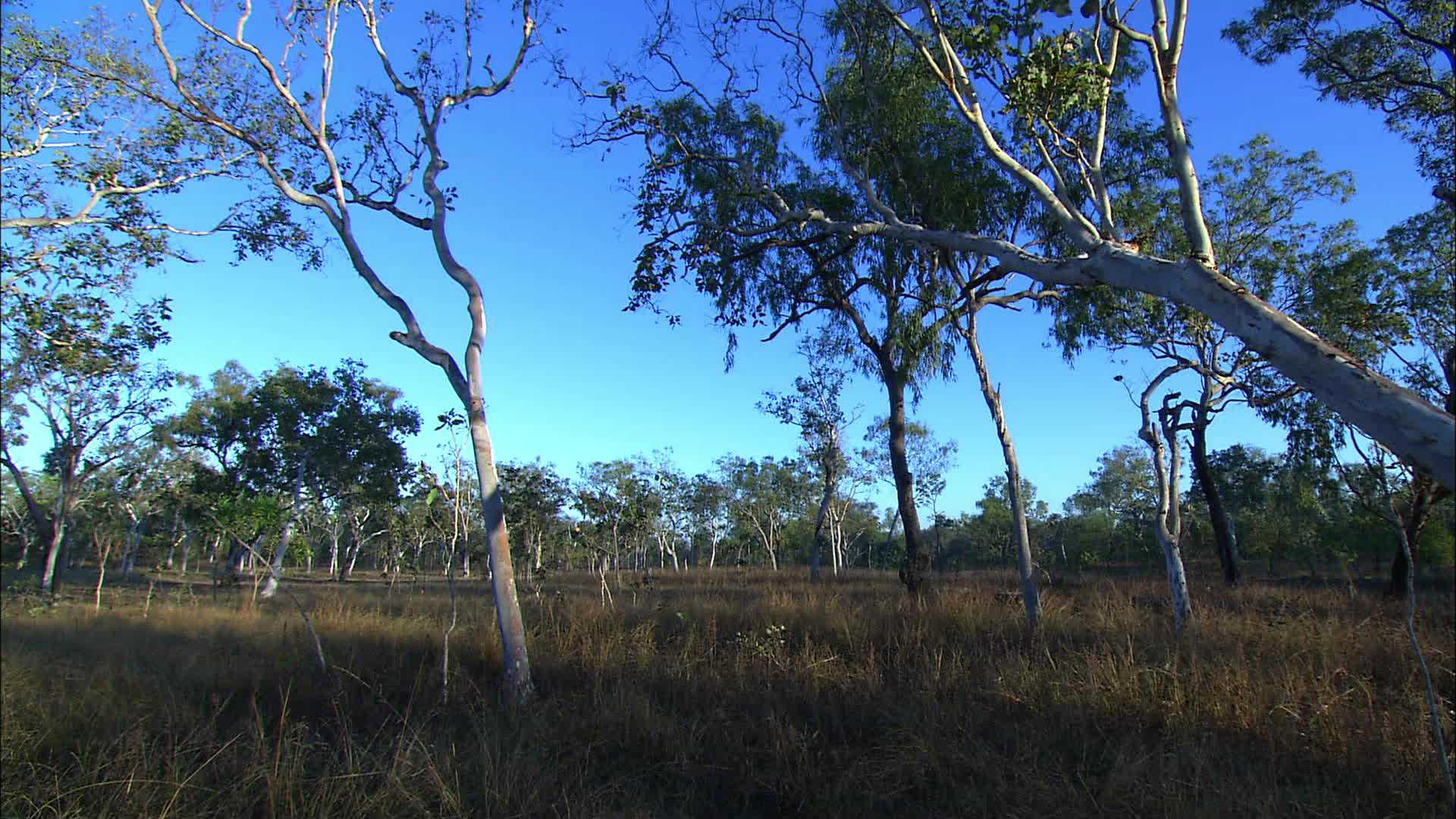 Parc National Douglas - Australie