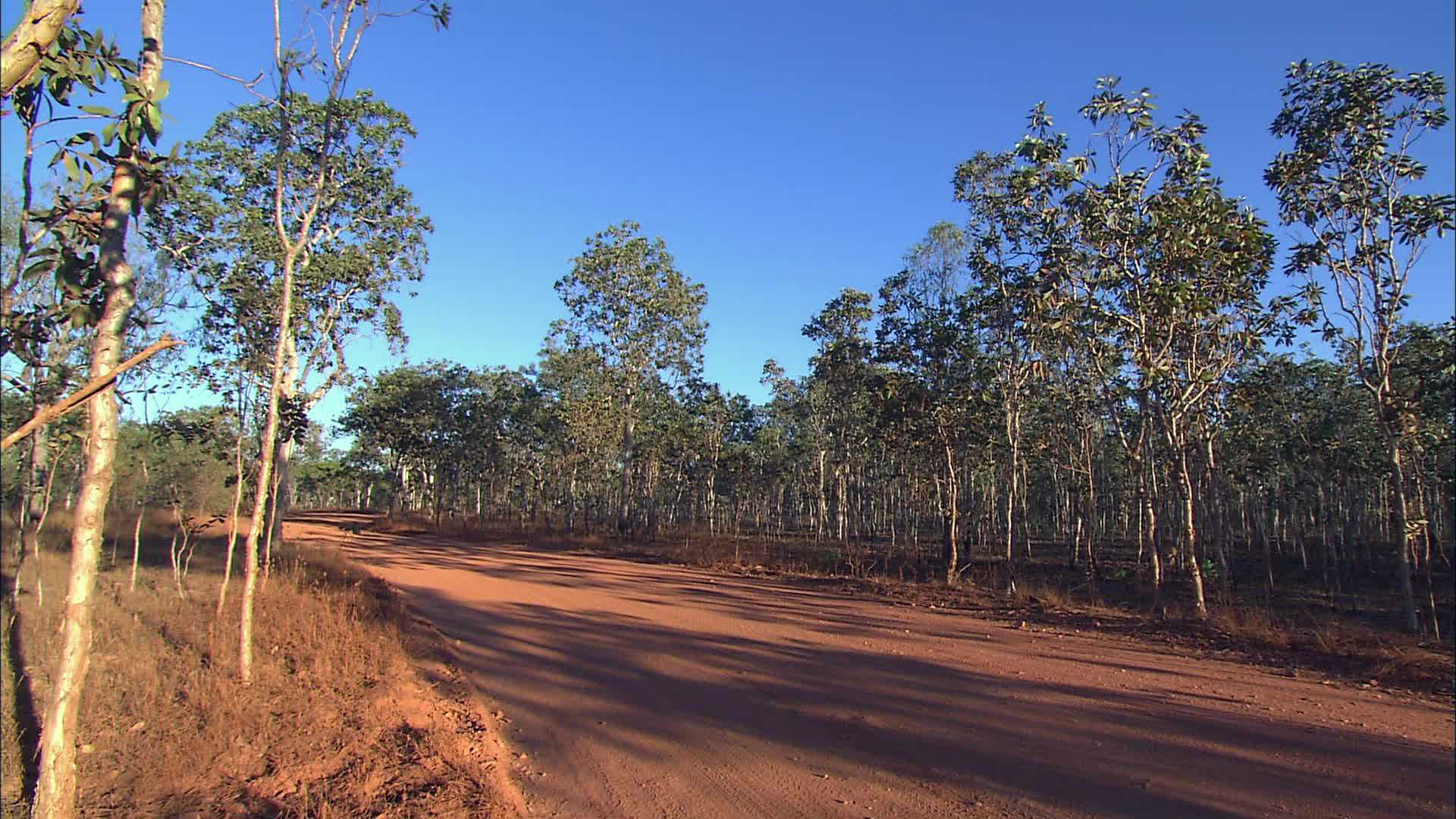 Parc National Douglas - Australie