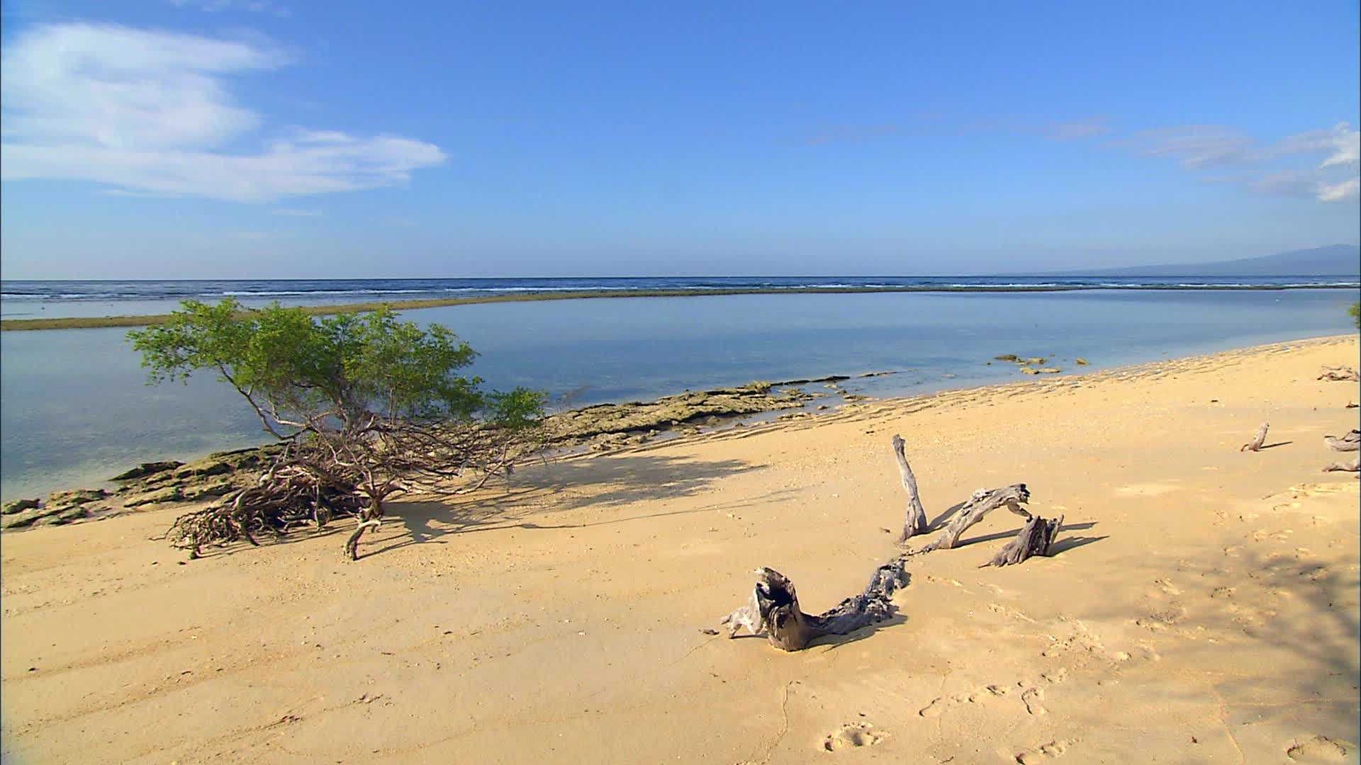 Plage Gili Meno - Indonésié