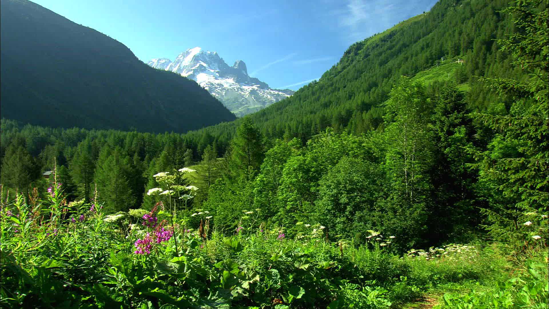 Valorcine - Haute Savoie