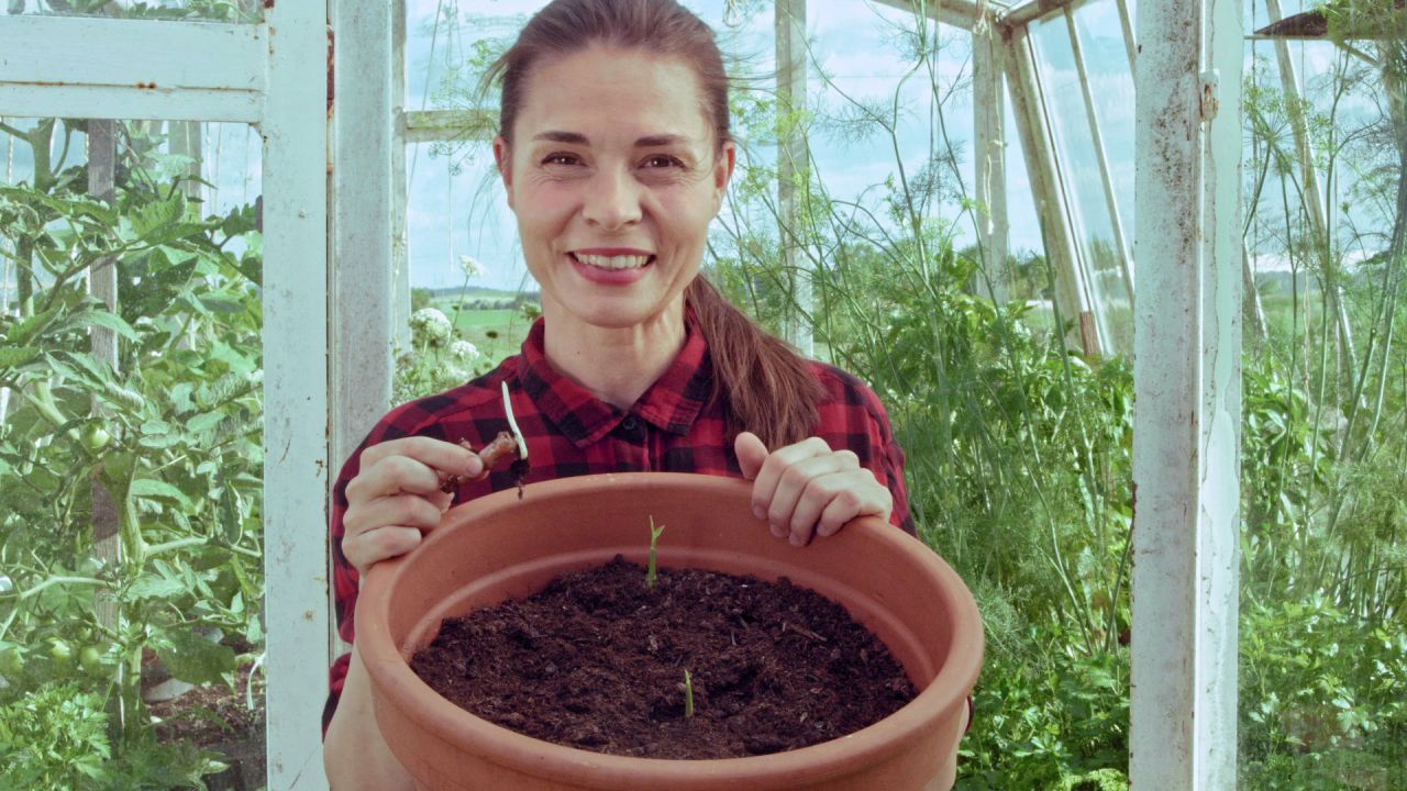 Foreign herbs