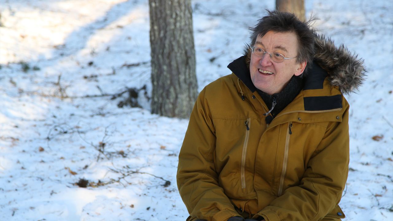 The Tree Hotel - Sweden