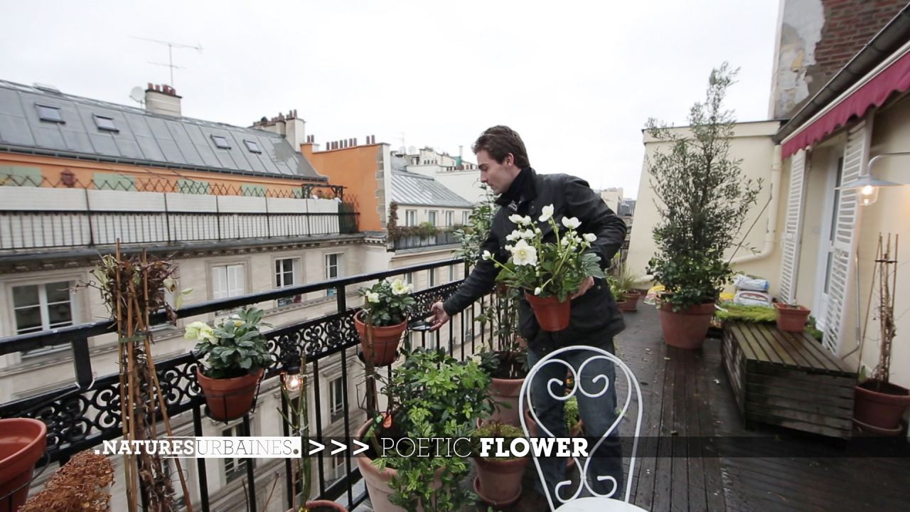 Philippe, Urban Farmer