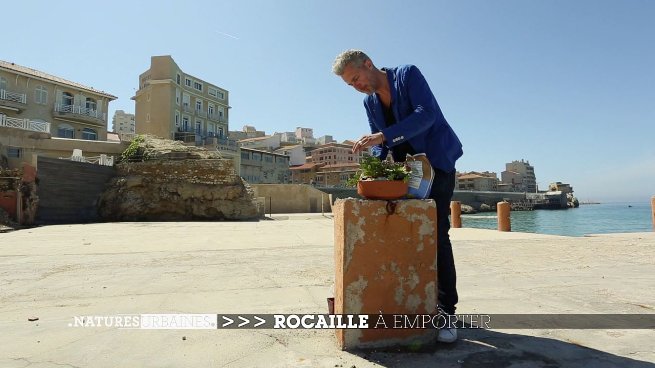 Vacations to Marseille