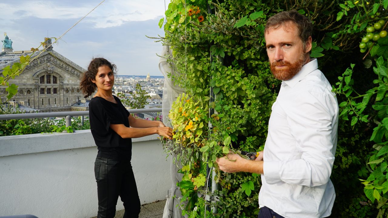 Up on the Green Roofs of Paris
