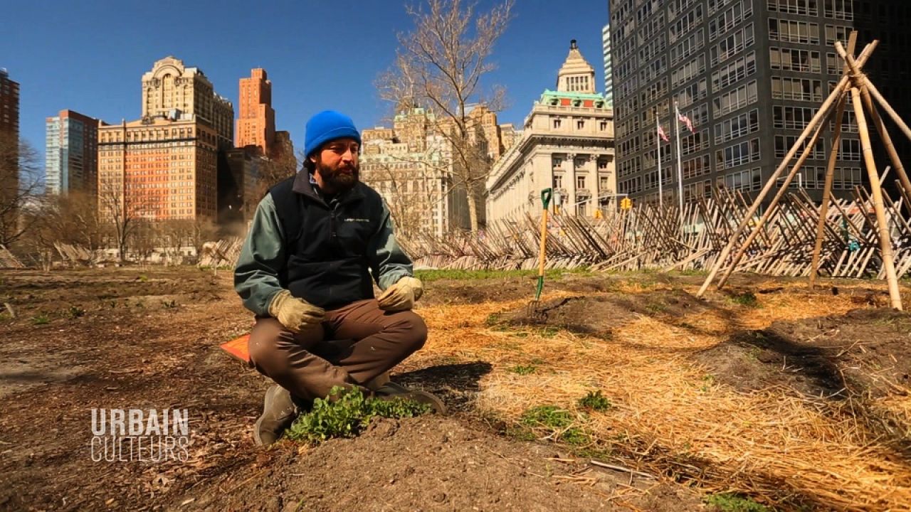 Cities Turn Green