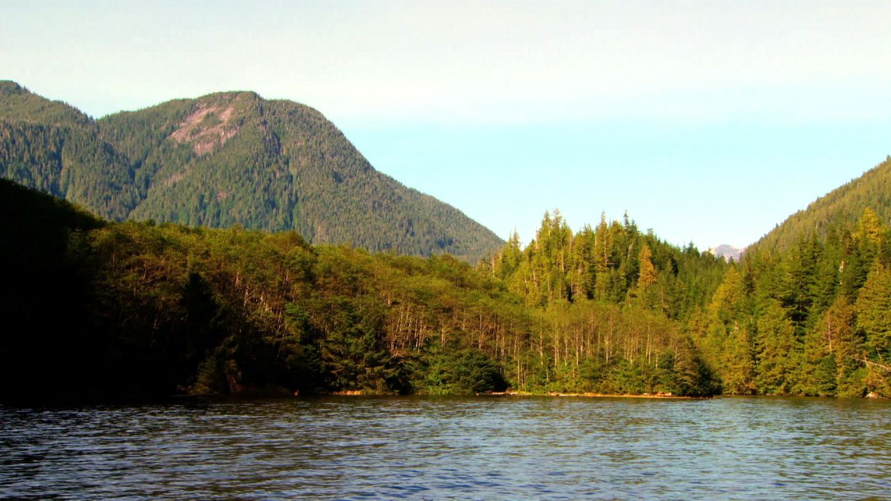 Adventures in the Canadian Rockies with the grizzly and in the book/town Mataranka