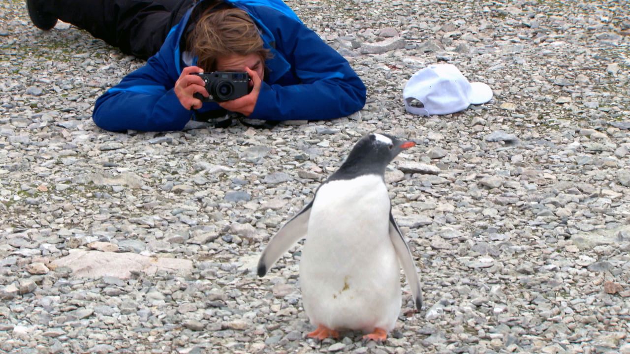 Antarctic and Mary River National park