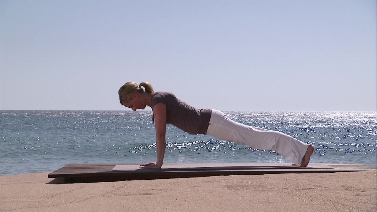 The plank and the dog upside down