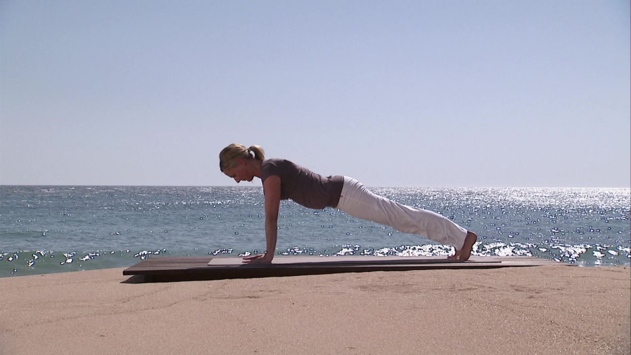 The plank and the dog upside down