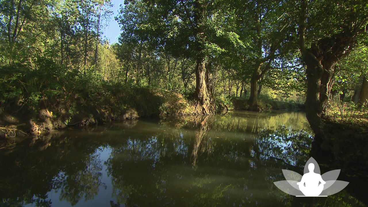 Autour de la lumière