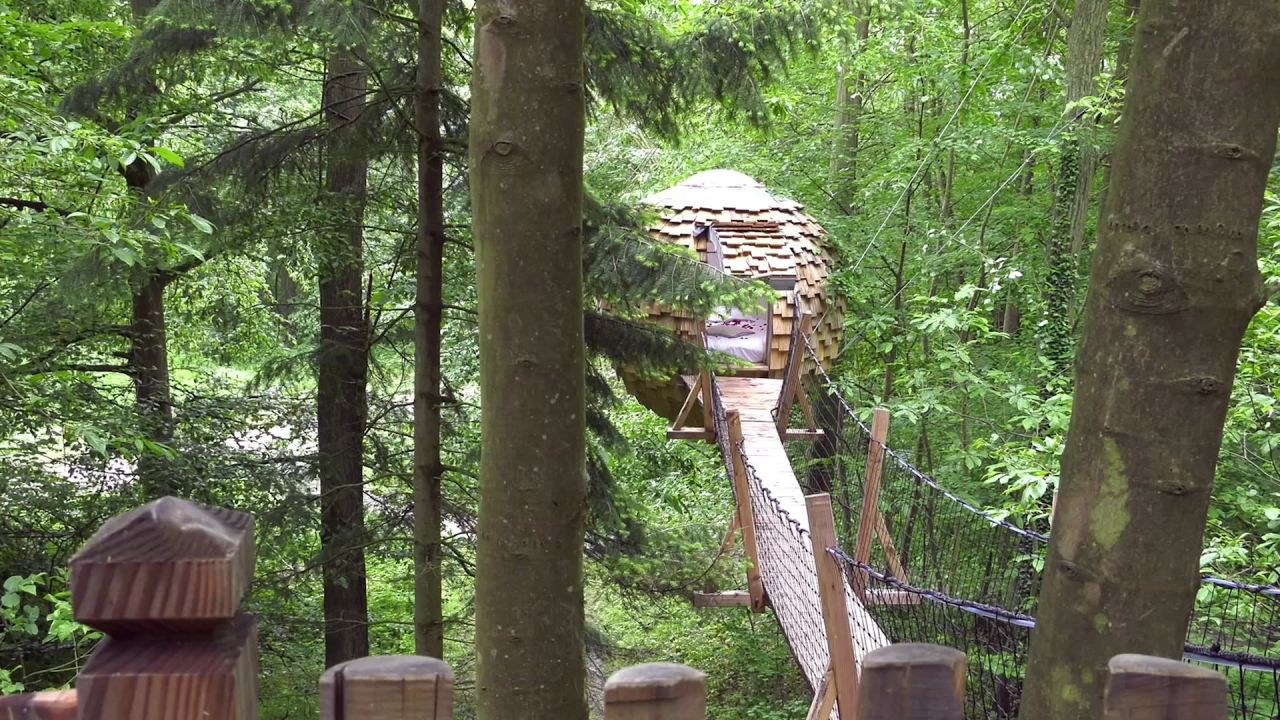 France, Great oaks Treehouses & Luxembourg, A Yaaz Farm