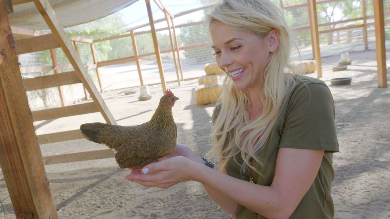 Les animaux de la ferme