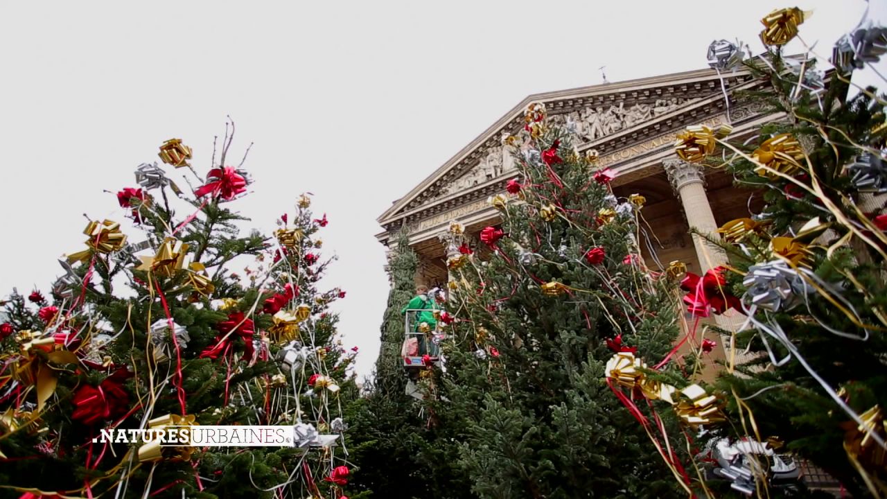 Christmas in the Garden