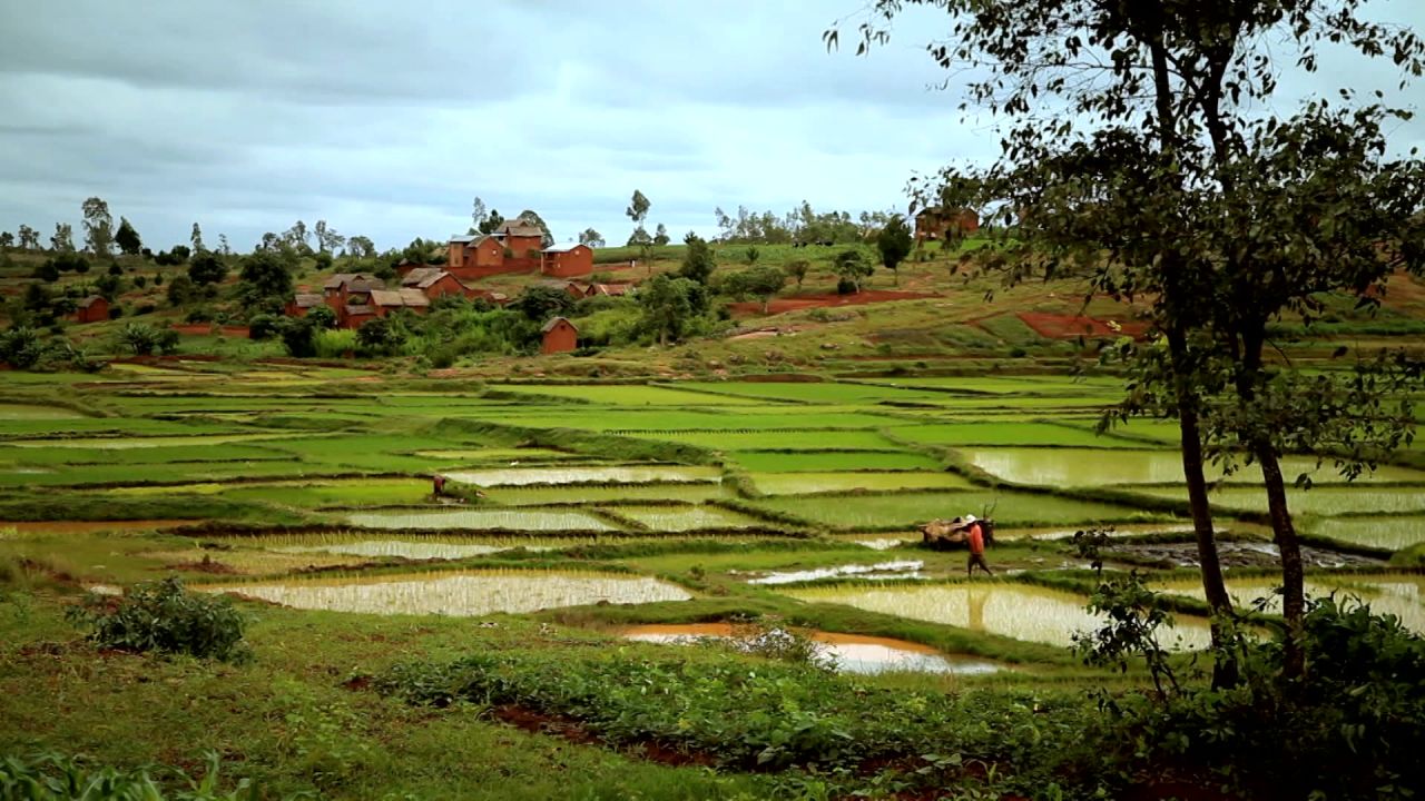 Madagascar