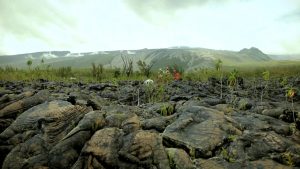 L’île de la réunion